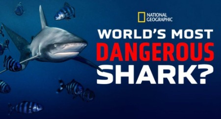 Worlds Most Dangerous Shark 2021 720p DSNP WEBRip x264-GalaxyRG