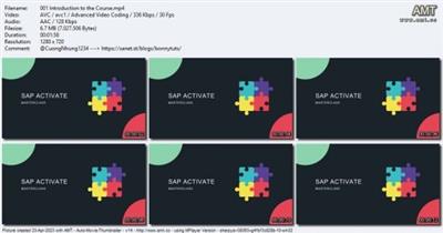 SAP Activate Project Manager Masterclass  (on C ACTIVATE 13) 67e2a6cadd0dd6071cc8d591ad2317b2