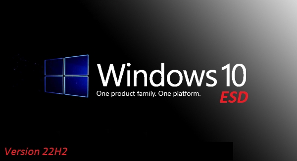 Windows 10 x64 22H2 Build 19045.2913 10in1 OEM ESD en-US APRIL 2023 Preactivated D984bd294dfae7d0232e09d151ae3564