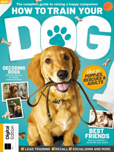 How to Train Your Dog - 1st Edition 2023