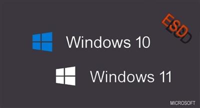 Windows 10/11 Pro X64 22H2 Build 19045.2913 & 22621.1635 ESD en-US APRIL 2023  Preactivated