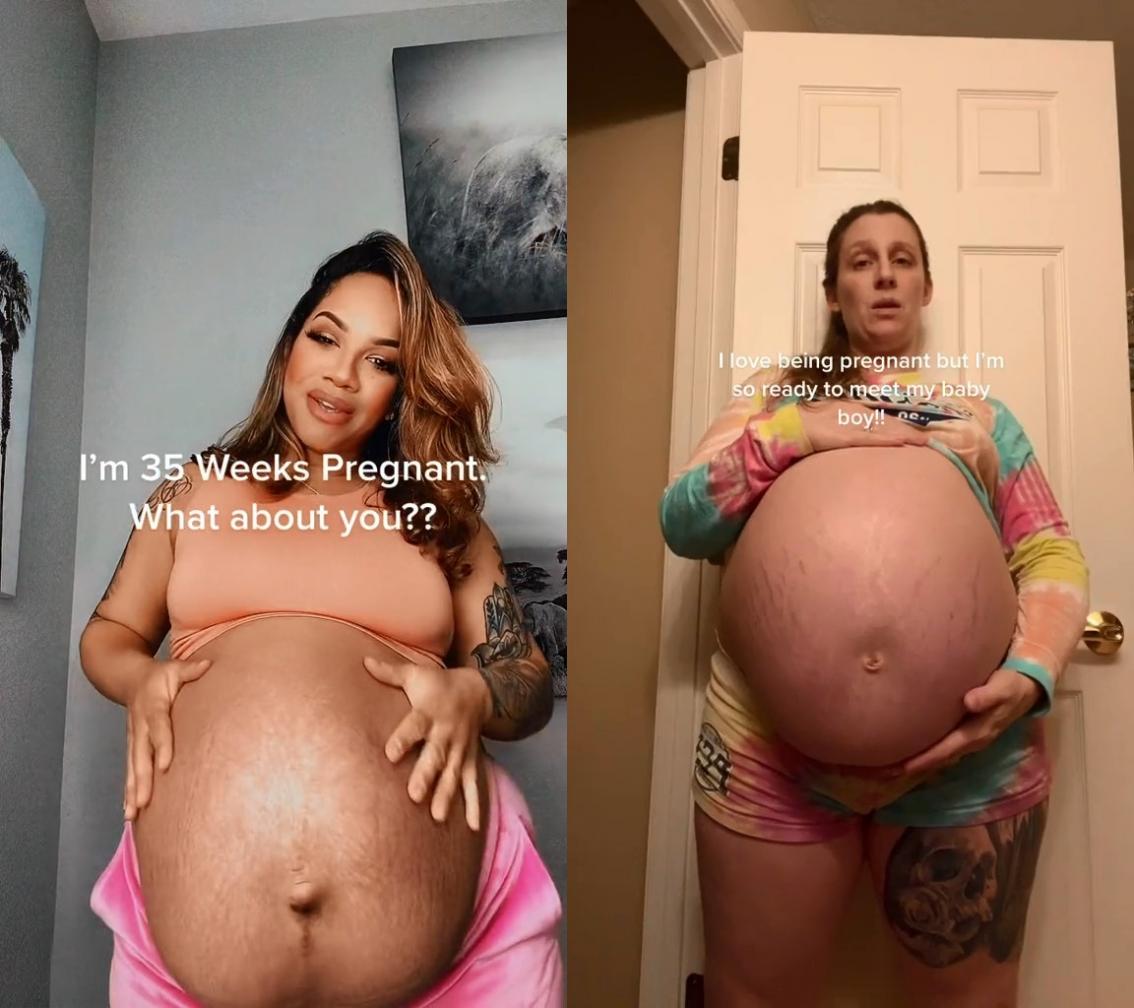 [TikTok.com] Brookesobasic & Renae W - NN Monster Bump Pregnant Compilation [2022 г., solo, pregnant, non nude, 720p, SiteRip]