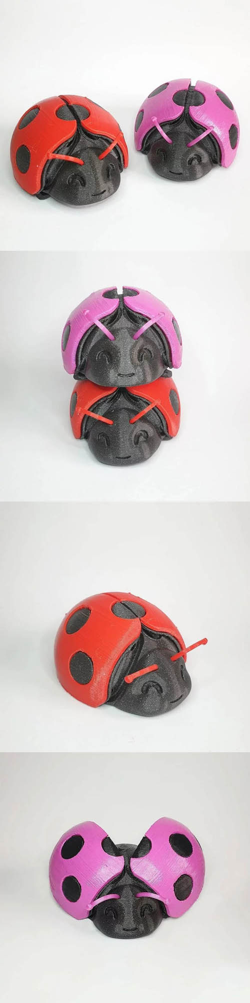 Ladybug 3D Print Model