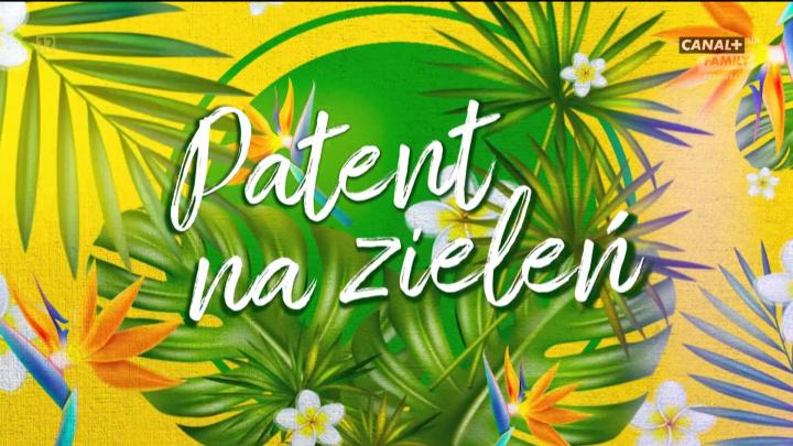 Patent na zieleń (2023) [SEZON 1] PL.1080i.HDTV.H264-B89 | POLSKI