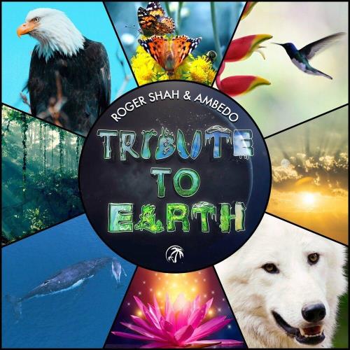 Roger Shah & Ambedo - Tribute To Earth (2023)
