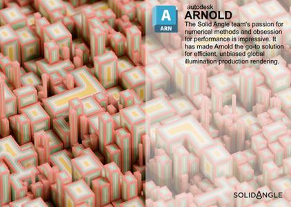 Solid Angle Cinema 4D to Arnold 4.6.2 (x64)