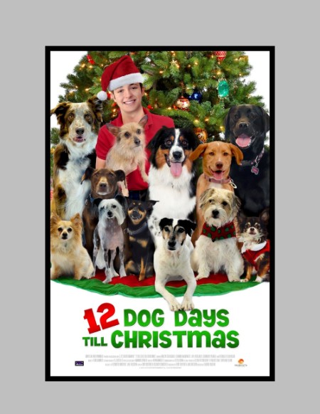 12 Dog Days of Christmas 2014 1080p PCOK WEBRip DDP5 1 x264-PTerWEB