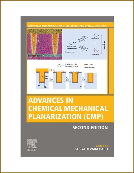 Advances in Chemical Mechanical Planarization (CMP) (Woodhead Publishing Series in... 126d9bcdad65b28a274c54f960e245a2