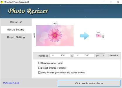 Mytoolsoft Photo Resizer 2.8.1 Portable