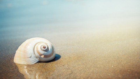 Sea Magic, Mother Ocean’S Seashells, Aquatic Life & Deities