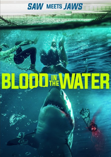 Blood in The Water 2022 PROPER 1080p WEBRip x265-LAMA