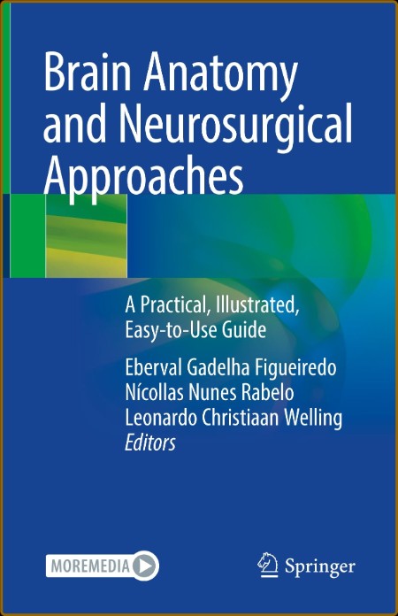 Brain Anatomy and Neurosurgical Approaches 5affd17b1071dfb57582b6ce06ee05e1