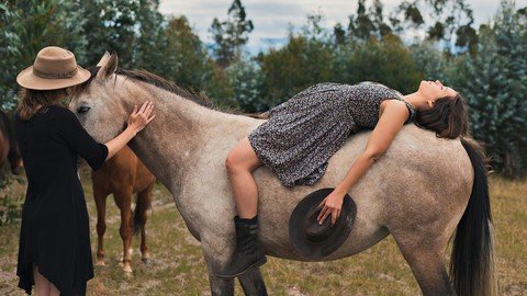 Healing With Horses For Your Personal Use