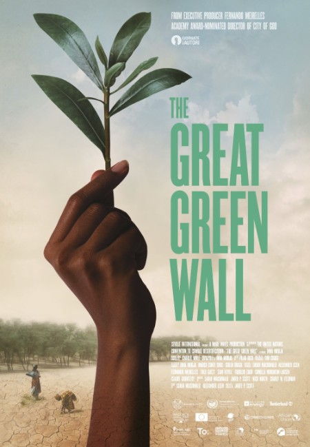 The Great Green Wall 2019 1080p WEBRip x264-LAMA