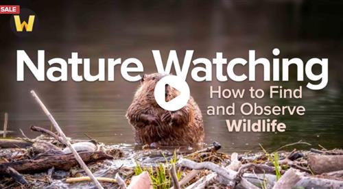 TTC – Nature Watching How to Find and Observe Wildlife