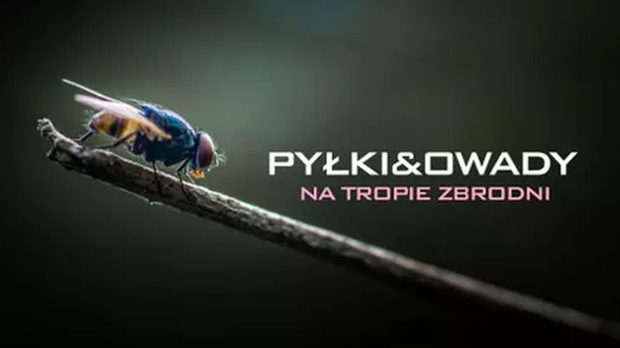 Pyłki i owady na tropie zbrodni / Pollen and Insects - Forensic Science and Its New Techniques (2021) PL.1080i.HDTV.H264-OzW  / Lektor PL