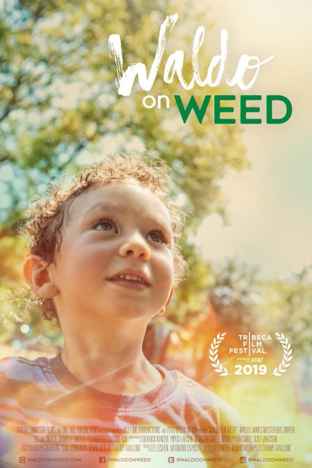 Waldo On Weed (2019) 720p WEBRip x264 AAC-YTS