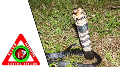 First Aid For Snakebites Module 4