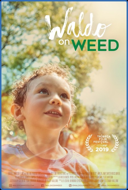 Waldo On Weed (2019) 1080p WEBRip x264 AAC-YTS