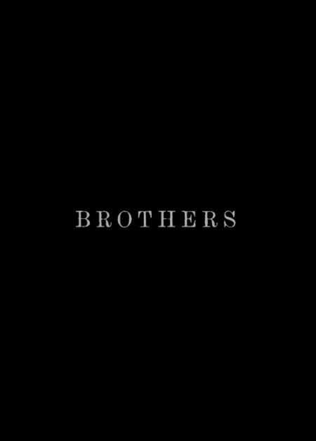 BroThers (2015) 720p WEBRip x264 AAC-YTS