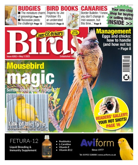 Cage & Aviary Birds – May 2021