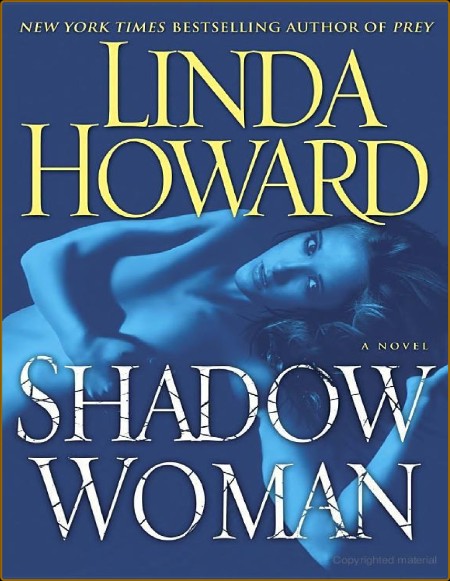 Shadow Woman: A Novel 1b9f27064e53d6c0eeb2f70a1eade017