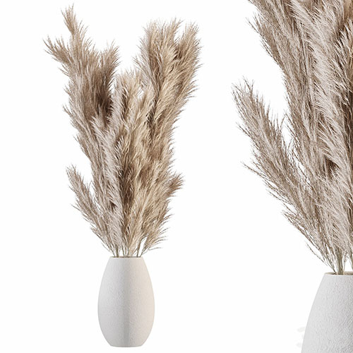 Pampas 01 - 3d model