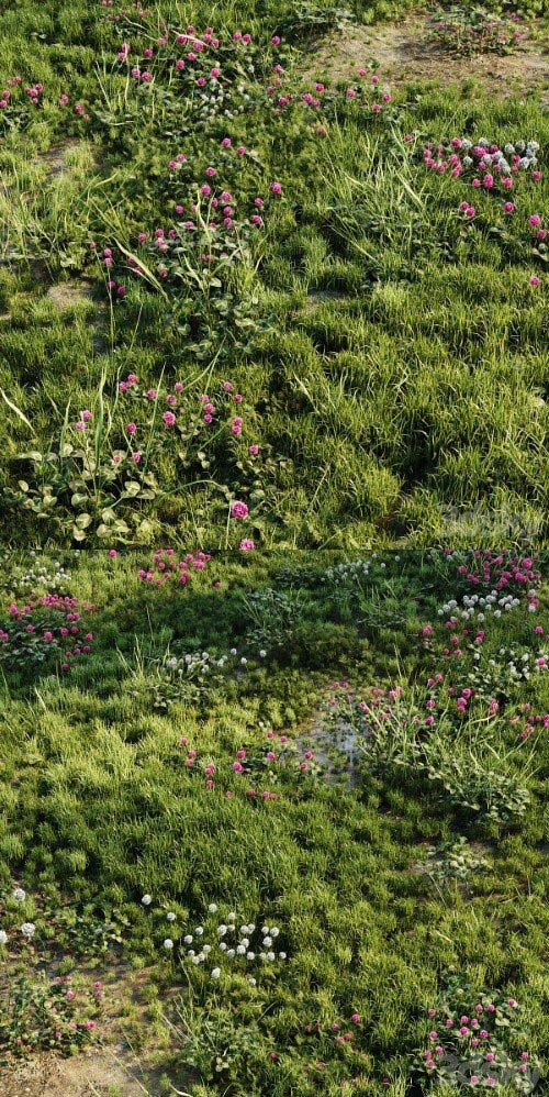 Meadow grass set - 3d model