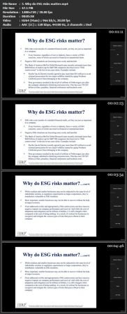 Risk Manager's Quick Guide to  ESG 0e6959cc2f0a9d1d5846f8a6e08e0c4a