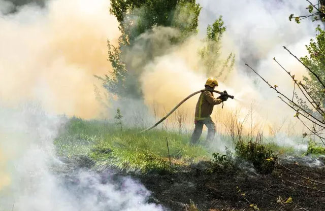 Вісті з Полтави - На Полтавщині за добу виникло 4 пожежі на полях із залишками кукурудзи