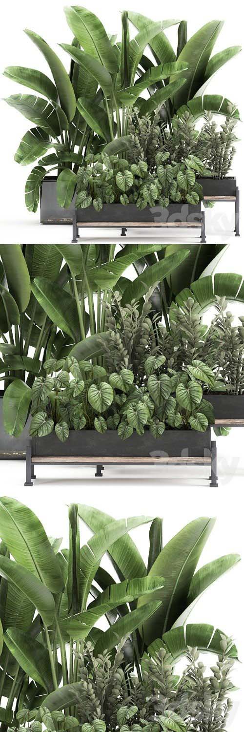 Plant Collection 914 - 3d model