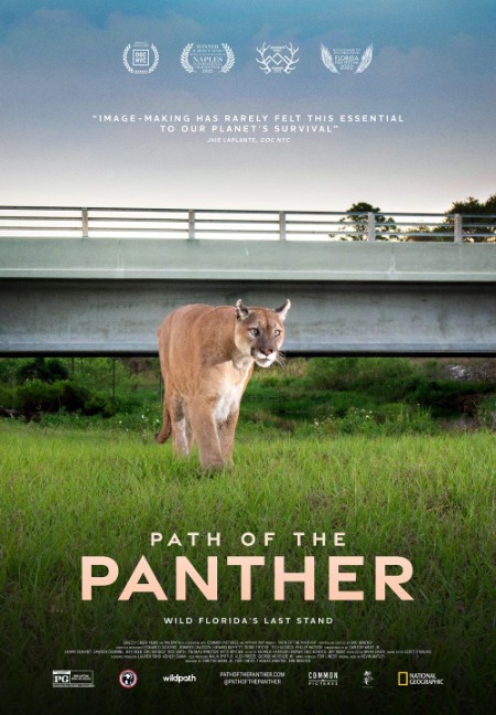 Path Of The PanTher 2022 1080p DSNP WEBRip DDP5 1 x264-FLUX