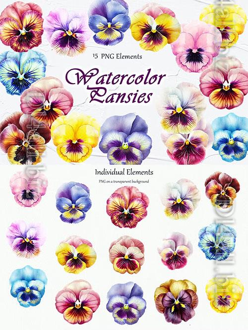 Pansy Flowers Watercolor Clipart