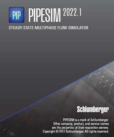 Schlumberger PIPESIM 2022.2.809 (x64)