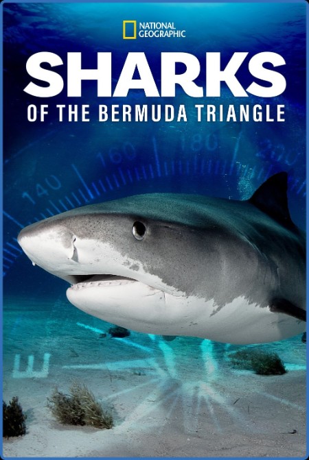 Sharks Of The Bermuda Triangle (2020) 720p WEBRip x264 AAC-YTS