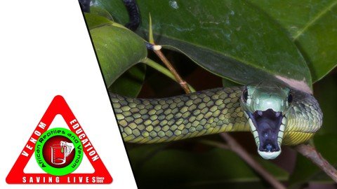 Snake Identification Module 3 –  Download Free