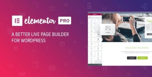 Elementor Pro v3.13.0 - The Most Advanced Website Builder Plugin