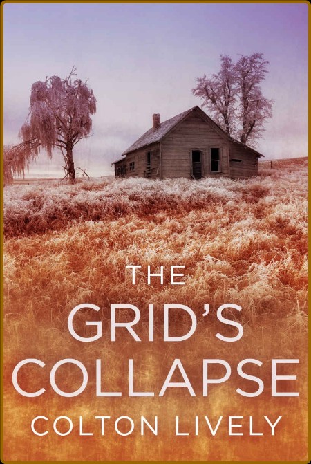 The Grid's Collapse: A Small Town Post Apocalypse EMP Thriller 87214f2e8c2c24c54627935437a33c45