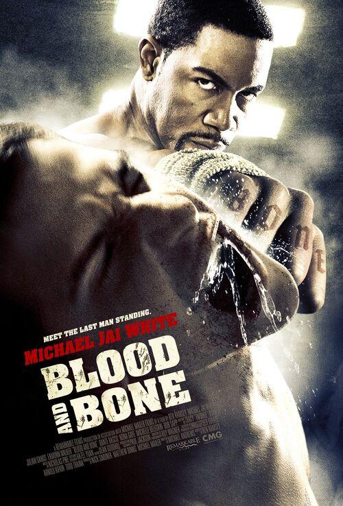 Blood and Bone (2009) MULTi.1080p.BluRay.REMUX.AVC.DTS-HD.MA.5.1-MR | Lektor i Napisy PL