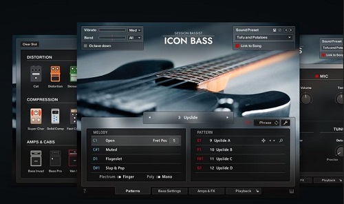 Native Instruments - Session Bassist - Icon Bass for Kontakt