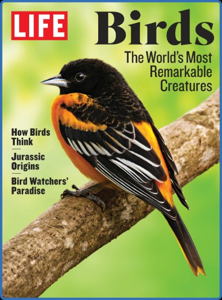 LIFE The Beauty of Birds – April 2023