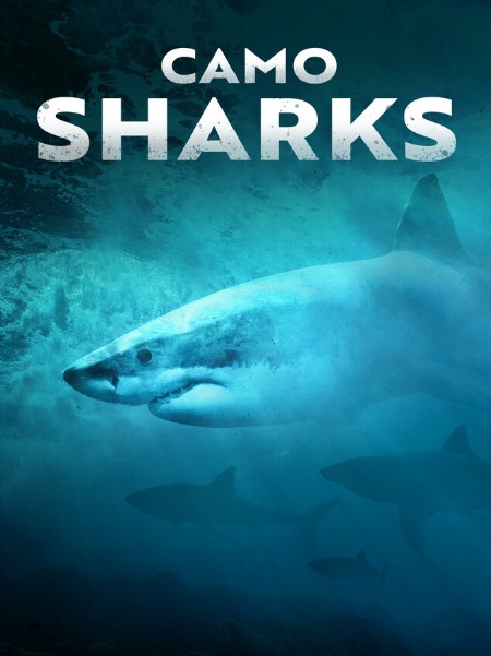 Camo Sharks 2022 1080p DSNP WEBRip DDP5 1 x264-LeagueWEB