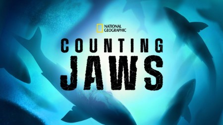 Counting Jaws 2022 1080p DSNP WEBRip DDP5 1 x264-LeagueWEB
