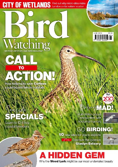 Bird Watching UK - June / 2023