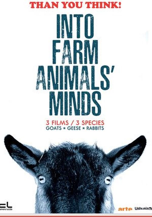 O czym myślą wiejskie zwierzęta / Into Farm Animals' Minds (2020) [SEZON 1 ] PL.1080i.HDTV.H264-OzW / Lektor PL