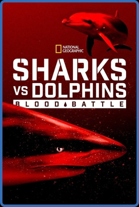 Sharks Vs  Dolphins Blood Battle (2020) 720p WEBRip x264 AAC-YTS