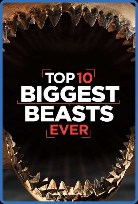 Top 10 Biggest Beasts Ever 2015 1080p WEBRip x264-RARBG