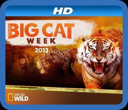 Big Cat Week Big Cat Games (2015) 720p WEBRip x264 AAC-YTS