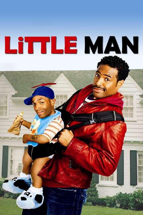 Mały / Little Man (2006) MULTi.1080p.BluRay.REMUX.MPEG-2.DTS-HD.MA.5.1-MR | Lektor i Napisy PL