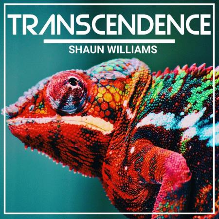 Shaun Williams - Transcendence (2023)